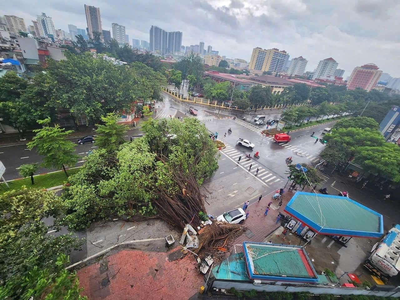 Toàn cảnh Hà Nội ngay trước khi bão YAGI đổ bộ: Hàng loạt cây xanh bật gốc chắn ngang đường, nhiều bảng biển bị hất tung- Ảnh 2.