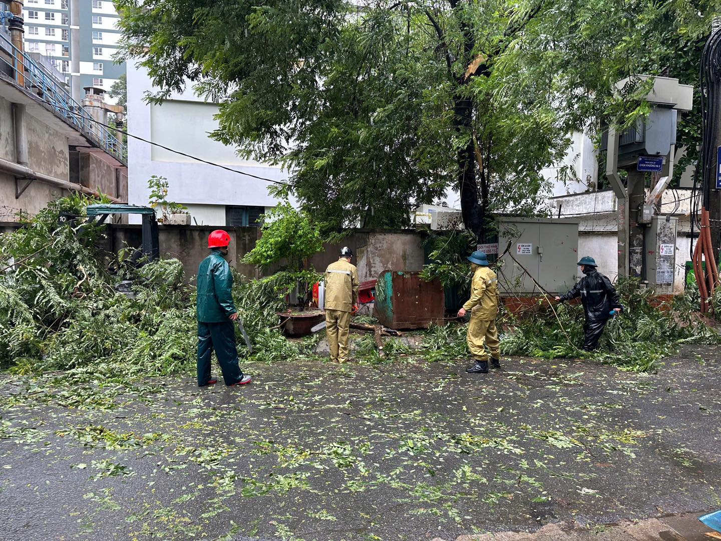 Toàn cảnh Hà Nội ngay trước khi bão YAGI đổ bộ: Hàng loạt cây xanh bật gốc chắn ngang đường, nhiều bảng biển bị hất tung- Ảnh 15.