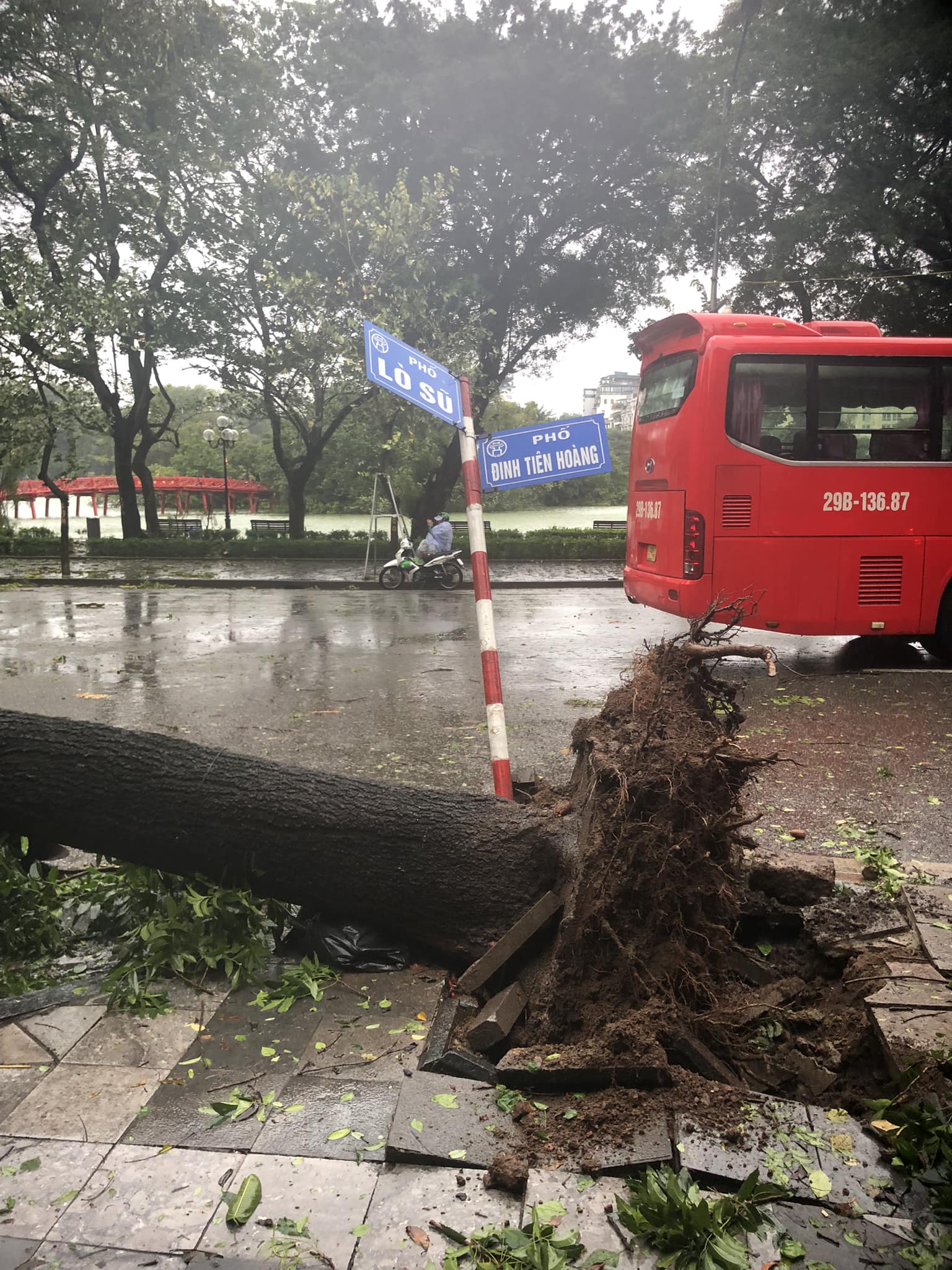 Toàn cảnh Hà Nội ngay trước khi bão YAGI đổ bộ: Hàng loạt cây xanh bật gốc chắn ngang đường, nhiều bảng biển bị hất tung- Ảnh 6.