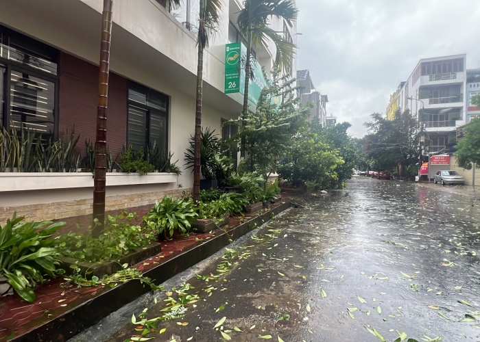 Bão số 3 đã vào Quảng Ninh, Hải Phòng: Xe ô tô bị thổi bay lên dải phân cách; ghi nhận những thiệt hại ban đầu- Ảnh 9.