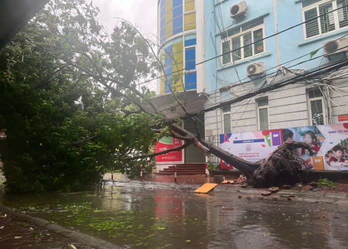 Bão số 3 đã vào Quảng Ninh, Hải Phòng: Xe ô tô bị thổi bay lên dải phân cách; ghi nhận những thiệt hại ban đầu- Ảnh 5.