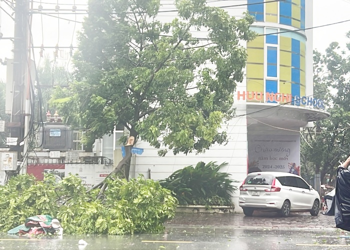 Bão số 3 đã vào Quảng Ninh, Hải Phòng: Xe ô tô bị thổi bay lên dải phân cách; ghi nhận những thiệt hại ban đầu- Ảnh 20.