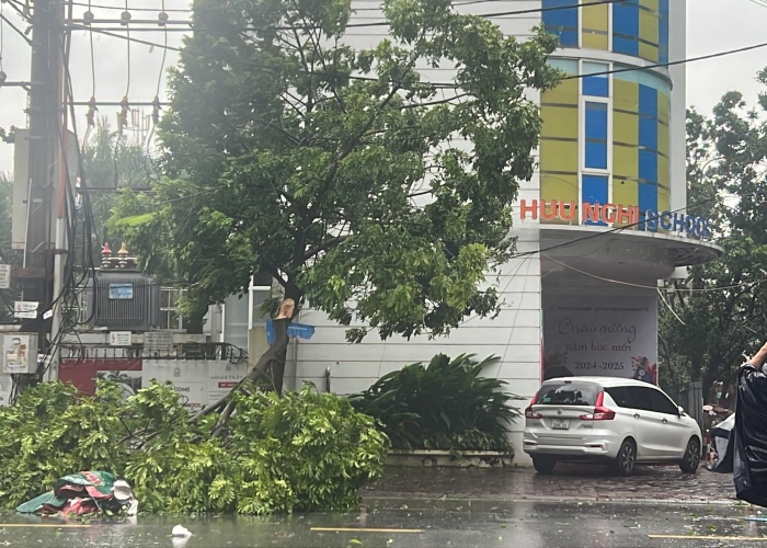 Bão số 3 đã vào Quảng Ninh, Hải Phòng: Xe ô tô bị thổi bay lên dải phân cách; ghi nhận những thiệt hại ban đầu- Ảnh 4.