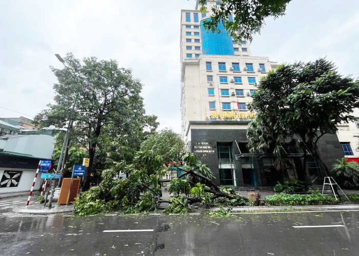 Bão số 3 đã vào Quảng Ninh, Hải Phòng: Xe ô tô bị thổi bay lên dải phân cách; ghi nhận những thiệt hại ban đầu- Ảnh 14.