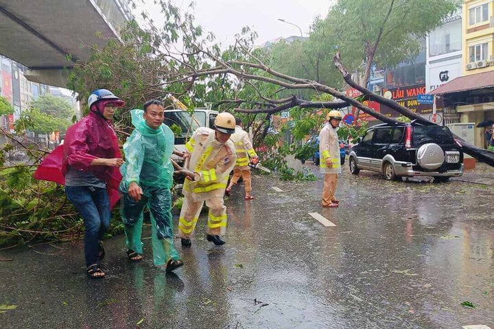 Hà Nội: 3 người chết, 8 người bị thương, gần 2.500 cây đổ do bão Yagi- Ảnh 4.