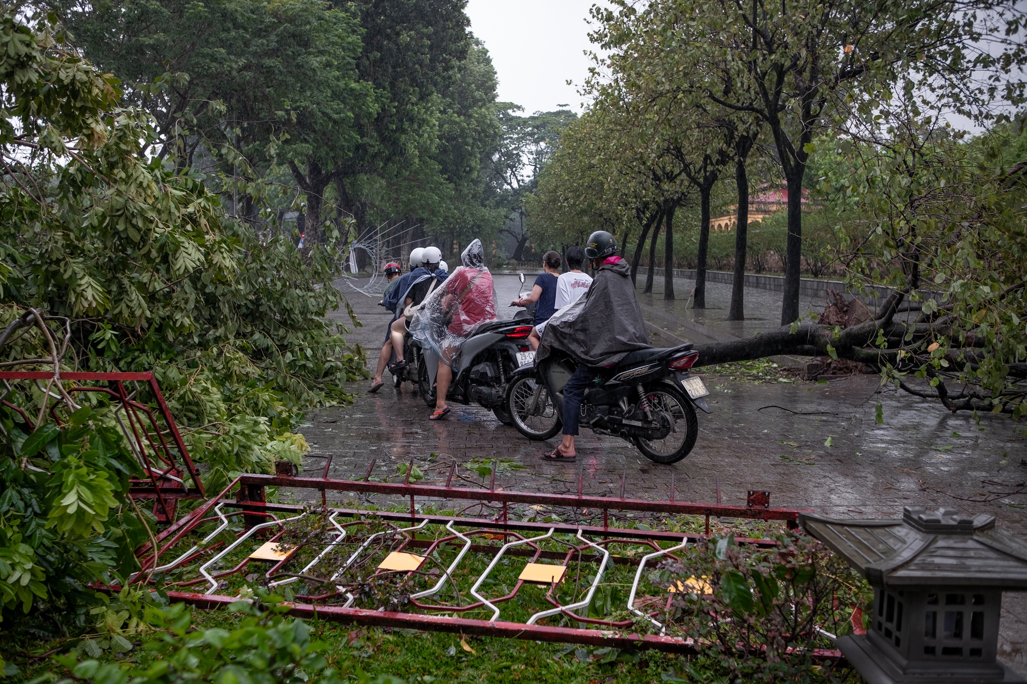 Không thể nhận ra phố phường Hà Nội sau bão Yagi: Giao thông nhiều tuyến tê liệt vì cây gãy đổ, lực lượng cứu hộ vất vả khắc phục hậu quả- Ảnh 20.