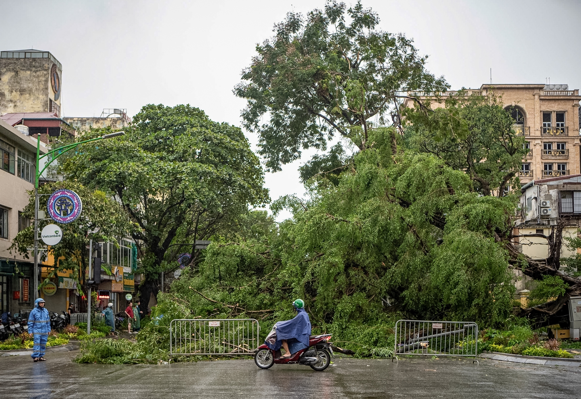 Không thể nhận ra phố phường Hà Nội sau bão Yagi: Giao thông nhiều tuyến tê liệt vì cây gãy đổ, lực lượng cứu hộ vất vả khắc phục hậu quả- Ảnh 18.