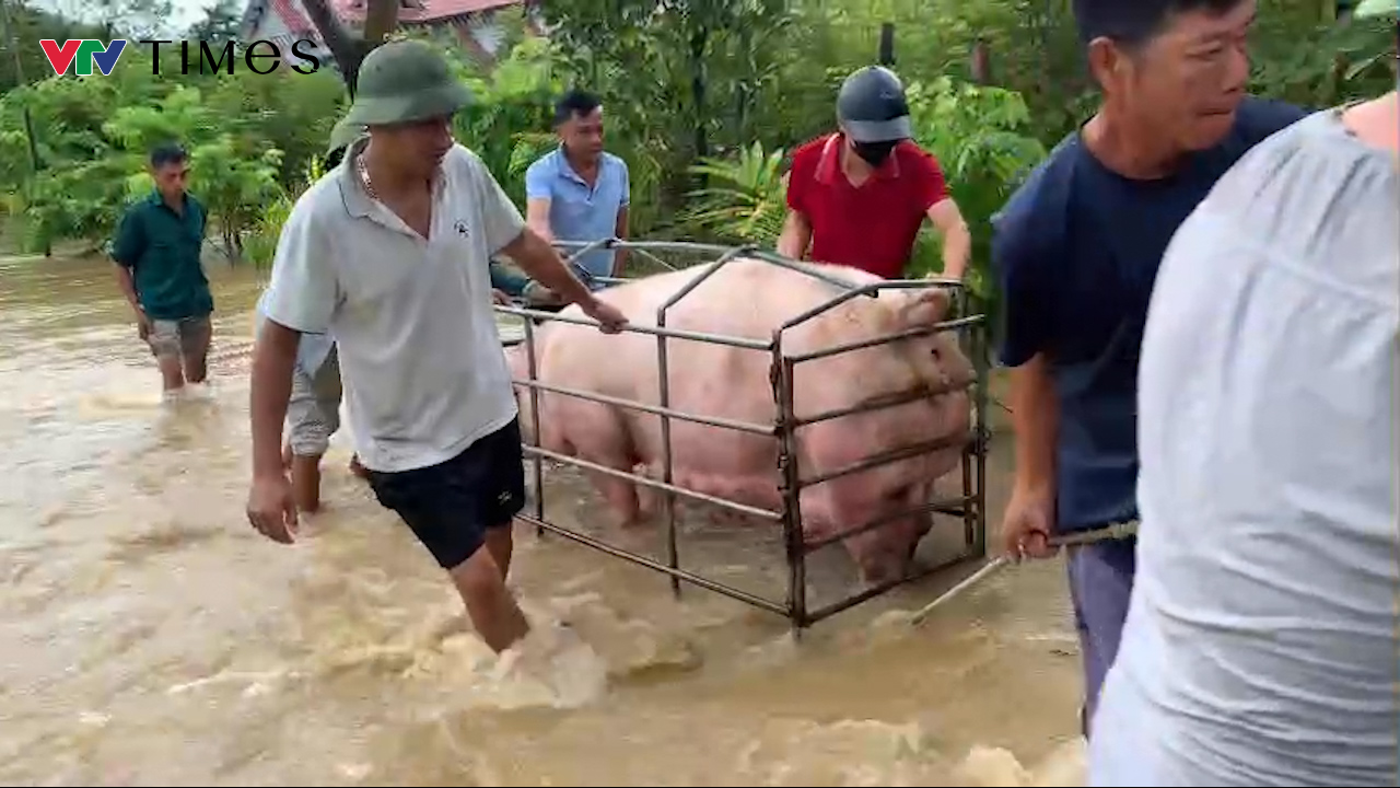 Toàn cảnh hiện trường vỡ đê sông Lô tại Tuyên Quang- Ảnh 6.