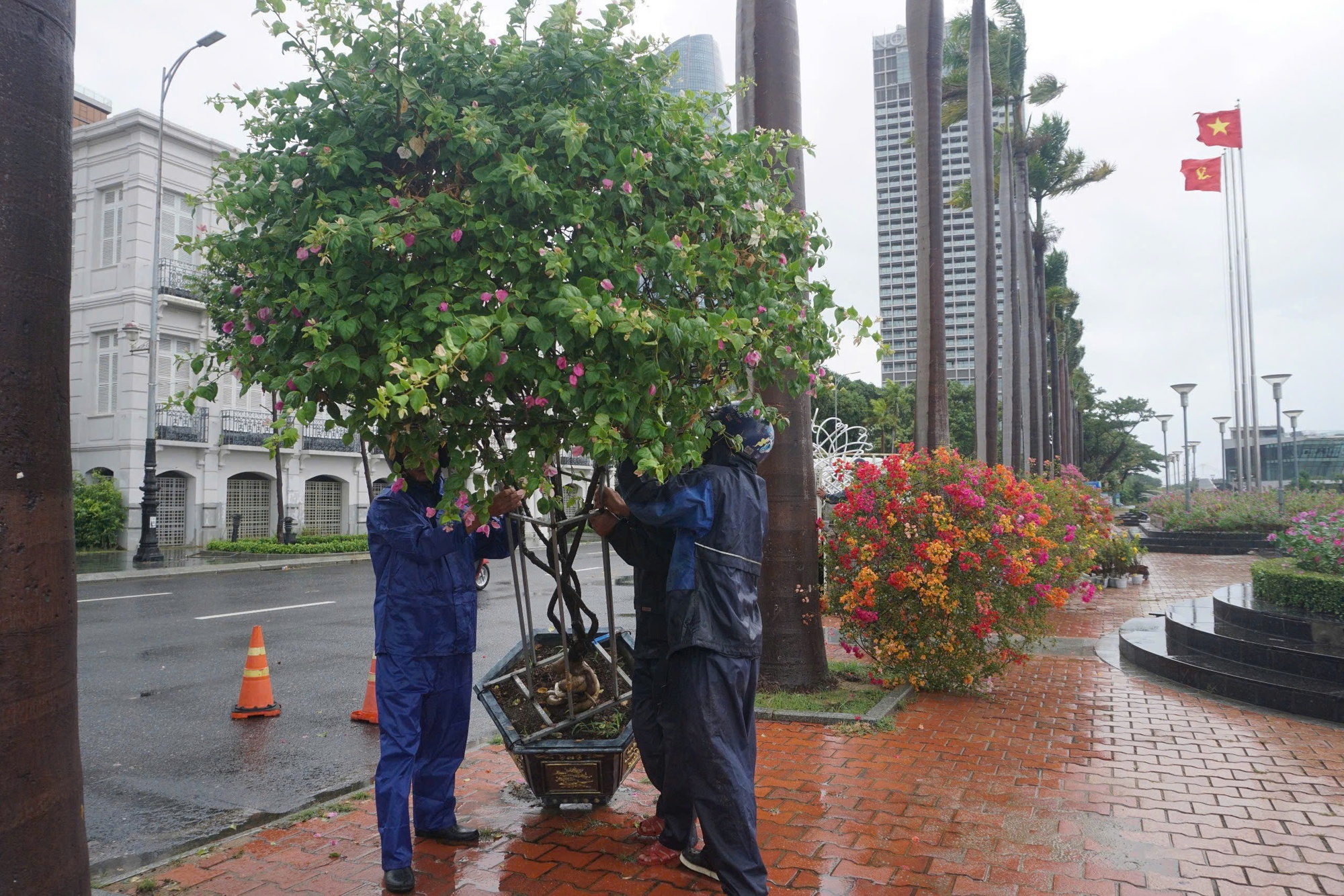 Áp thấp nhiệt đới mạnh lên thành bão trong 24 giờ tới, hướng về các tỉnh miền Trung; Quảng Nam cho học sinh nghỉ học từ 19/9- Ảnh 17.