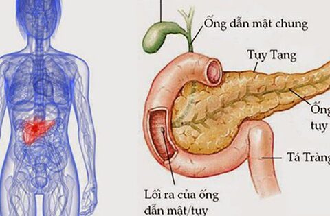 Viêm tụy cấp ở trẻ em: Nguyên nhân, triệu chứng, phòng bệnh và cách điều trị