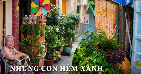 Thích mê khi dạo những “con hẻm xanh” ở Sài Gòn, ước sao người dân nơi nào cũng đồng lòng như thế!