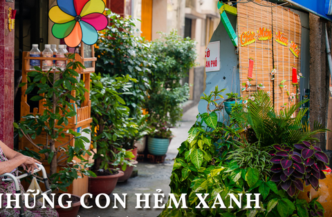 Thích mê khi dạo những “con hẻm xanh” ở Sài Gòn, ước sao người dân nơi nào cũng đồng lòng như thế!