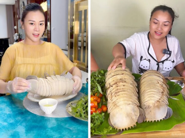 Loại hải sản đắt hơn tôm hùm khiến Quỳnh Trần JP và Phương Oanh đều chọn để bồi bổ thai kỳ, nhà giàu thèm cũng khó mua