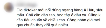 Tranh cãi kịch liệt khi Nàng Mơ lên sàn catwalk ngang hàng với siêu mẫu Hoàng Thuỳ- Ảnh 4.