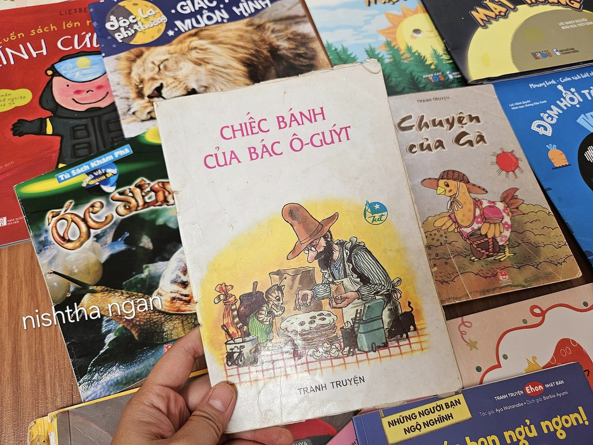 Lạc vào thế giới toàn là sách, bảng vận động, bộ sưu tập lắp ráp của em bé 6 tuổi: 