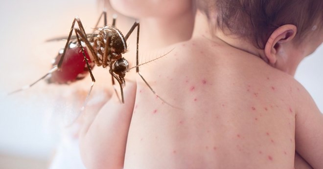 TPHCM ghi nhận ca tử vong do sốt xuất huyết, cảnh báo nguy cơ dịch khắp nơi