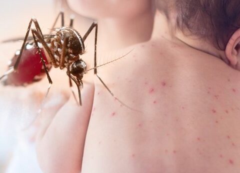 TPHCM ghi nhận ca tử vong do sốt xuất huyết, cảnh báo nguy cơ dịch khắp nơi