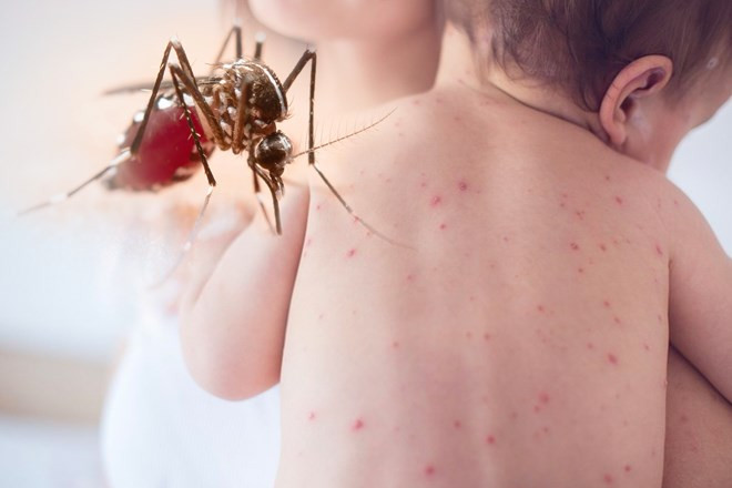 TPHCM ghi nhận ca tử vong do sốt xuất huyết, cảnh báo nguy cơ dịch khắp nơi- Ảnh 3.