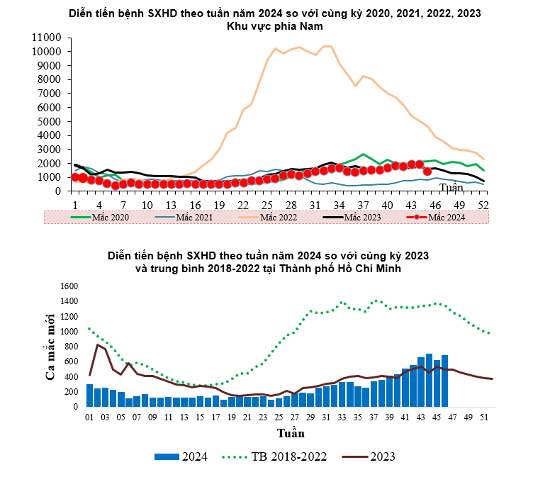 TPHCM ghi nhận ca tử vong do sốt xuất huyết, cảnh báo nguy cơ dịch khắp nơi- Ảnh 1.