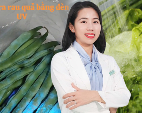 Hội vợ đảm mách nhau dùng đèn UV soi rau củ để phát hiện thuốc sâu: BS nói 1 câu khiến nhiều người “ngã ngửa”