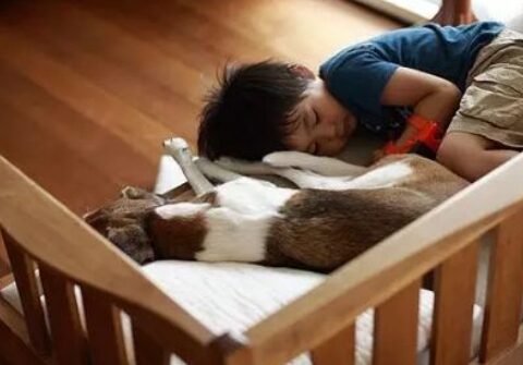 Những thay đổi đáng kinh ngạc về IQ của trẻ sau khi bị cha mẹ đánh mắng