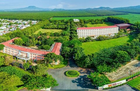 Bí quyết thăng tiến dành riêng cho Gen Y & Z: Học thêm Ngôn ngữ Anh siêu tiện lợi!