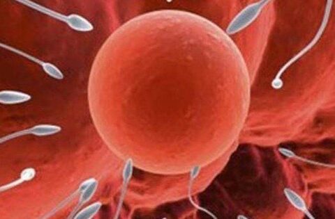 10 sai lầm thường gặp khi cố gắng thụ thai