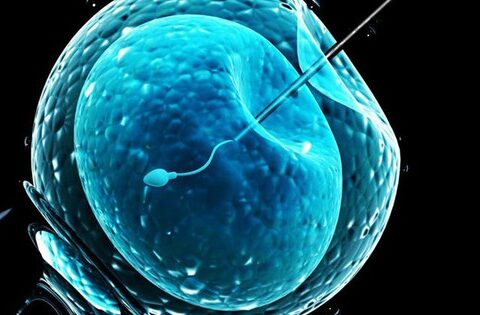 Sử dụng AI có thể giúp tăng tỷ lệ thành công của IVF