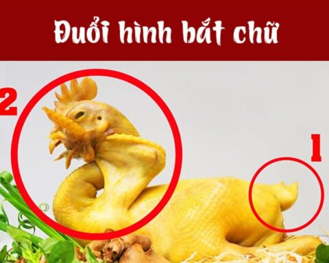 Nhìn hình đoán câu: Trả lời được đây là câu tục ngữ nào, bạn đích thực là vua “đuổi hình bắt chữ”