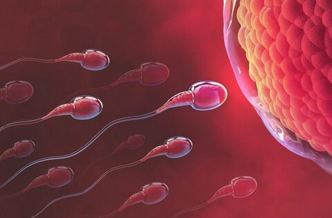 Những điều chị em nên biết về cơ hội mang thai