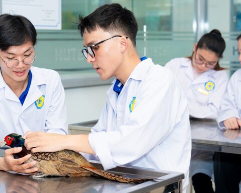 Chọn học ngành Thú y, yêu chó mèo đã là đủ?