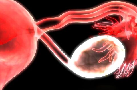 Phát hiện mới mở ra bí ẩn của thời kỳ mãn kinh