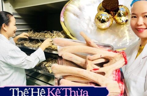 Nữ doanh nhân kế thừa truyền thống nhà chồng đưa sản vật nhung hươu Hương Sơn sánh vai nhân sâm Hàn Quốc
