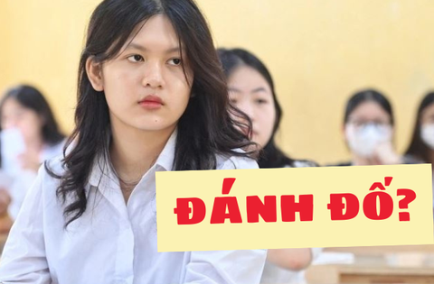 3 giáo sư không giải nổi đề thi THPT: Sao học sinh phải làm toán quá khó, không cần thiết cho cuộc sống sau này?