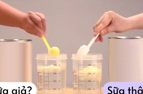 Phát hiện gần 600 loại sữa bị làm giả: 6 cách đơn giản phân biệt sữa thật – giả