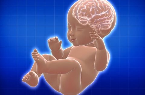 Mẹ bầu tiếp xúc với phthalate trong mỹ phẩm, con có thể bị ảnh hưởng thần kinh