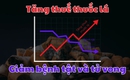 Tăng thuế thuốc lá, giải pháp hiệu quả cứu sống nhiều người, cân bằng ngân sách cho phát triển