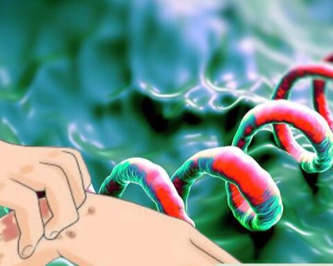 Infographic: Bệnh giang mai “âm thầm” lây lan: Bạn đã biết cách bảo vệ mình?