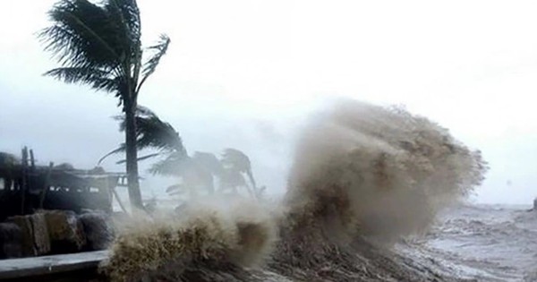 Cập nhật mới nhất về đường đi và tác động của Bão số 1 WUTIP: Sẽ đạt cường độ cực đại vào ngày nào?