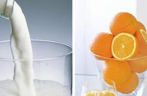 Đừng bao giờ kết hợp những thứ này cùng sữa vì có thể tạo gánh nặng cho cơ thể, thậm chí dẫn đến sỏi thận