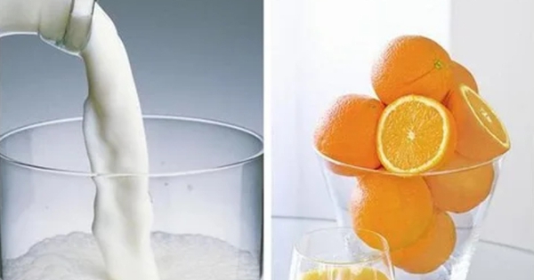 Đừng bao giờ kết hợp những thứ này cùng sữa vì có thể tạo gánh nặng cho cơ thể, thậm chí dẫn đến sỏi thận