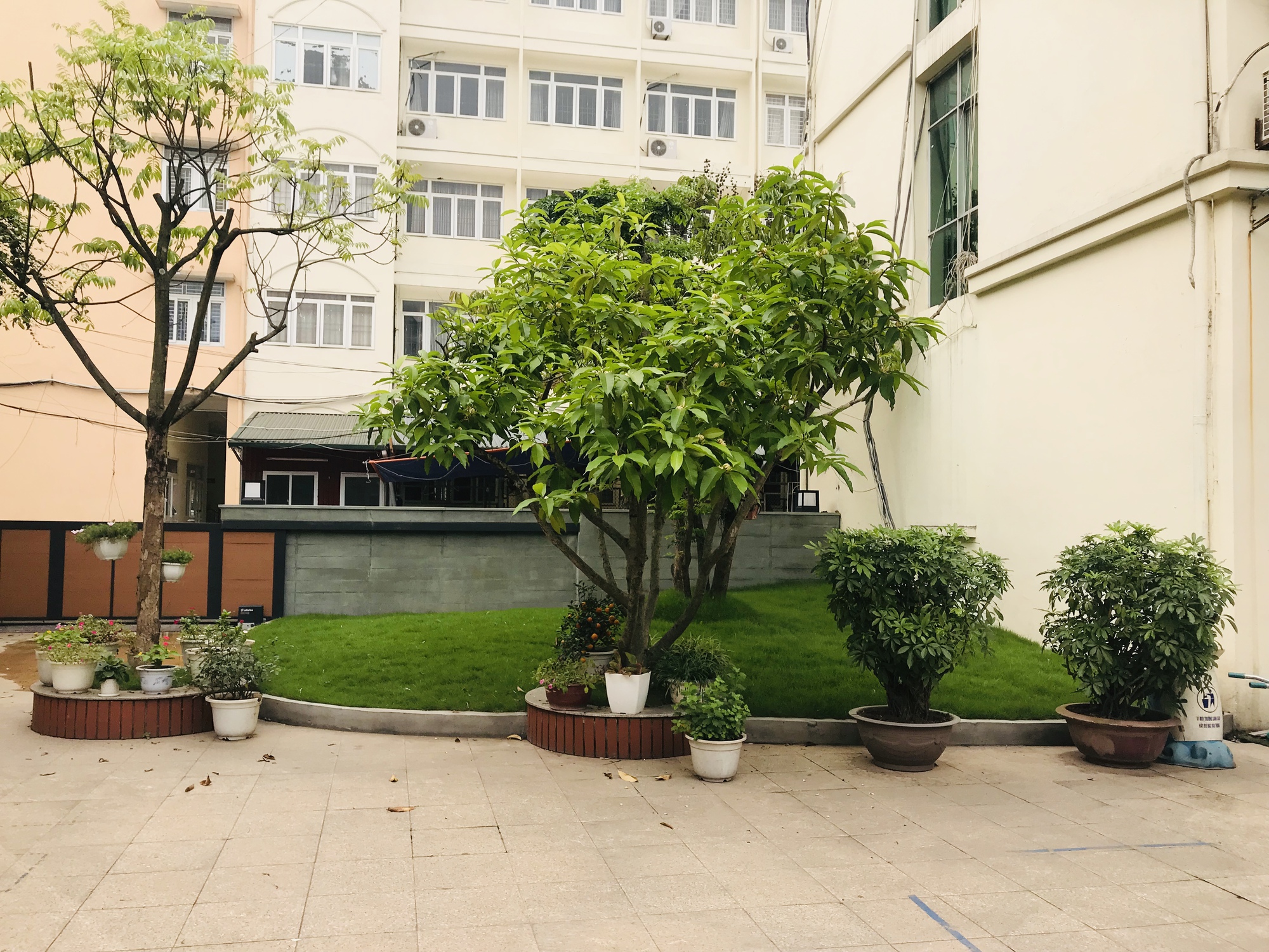 4 trường mầm non công lập siêu xinh của Quận Cầu Giấy, ngó cơ sở vật chất mà mê- Ảnh 15.