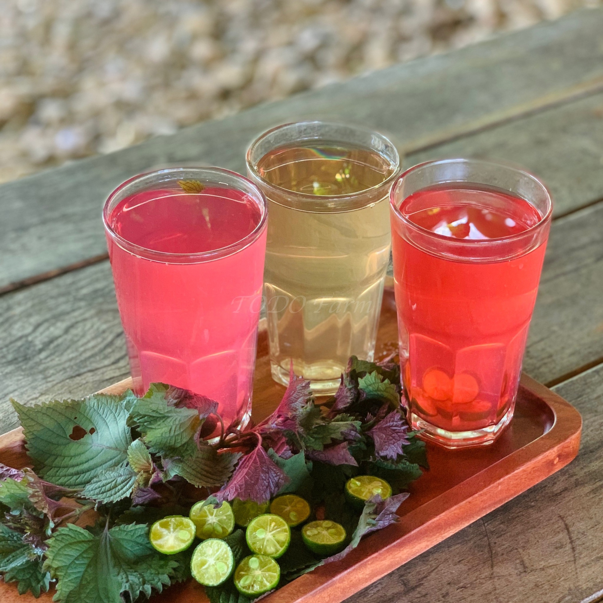 Tôi đã uống nước tía tô pha chanh trong 1 tháng và hoàn toàn bất ngờ với những thay đổi của cơ thể- Ảnh 1. Tôi đã uống nước tía tô pha chanh trong 1 tháng và hoàn toàn bất ngờ với những thay đổi của cơ thể- Ảnh 1.