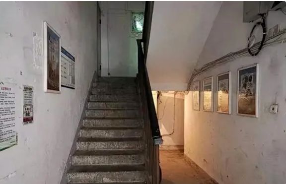 Dắt chó đi dạo, cô gái khiến cả gia đình mất mạng: Nuông chiều chính là đang hại một đứa trẻ! - Ảnh 2. Dắt chó đi dạo, cô gái khiến cả gia đình mất mạng: Nuông chiều chính là đang hại một đứa trẻ! - Ảnh 2.