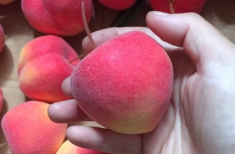 Mùa hè có 1 loại quả giàu nước vị ngọt mát, ăn đều giúp giữ dáng và ổn định đường huyết