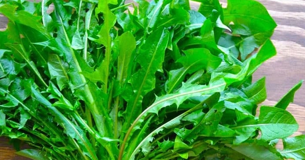 5 món ăn ‘nuôi’ hệ tiêu hóa khỏe như uống probiotic!