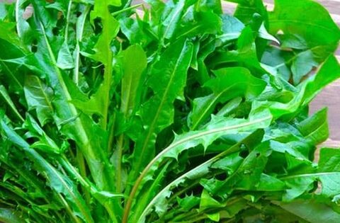 5 món ăn ‘nuôi’ hệ tiêu hóa khỏe như uống probiotic!