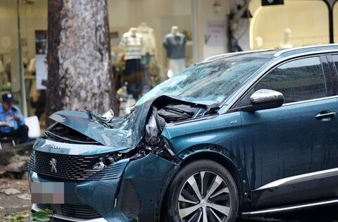 TP.HCM: Mưa lớn kèm dông lốc bất ngờ ập đến trưa 20/7, nhiều cây xanh gãy đổ đè bẹp dúm ô tô