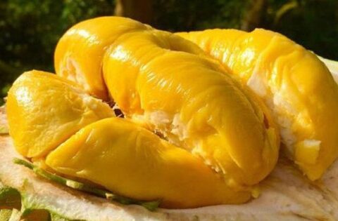 Muốn da đẹp luôn ẩm mịn, trắng sáng vào mùa hè? Ăn ngay 5 loại trái cây “thần kỳ” này!