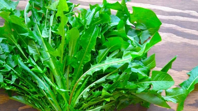 5 món ăn 'nuôi' hệ tiêu hóa khỏe như uống probiotic!- Ảnh 1.